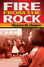 Fire from the Rock - EyeSeeMe African American Children's Bookstore
