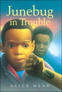 Junebug In Trouble - EyeSeeMe African American Children's Bookstore
