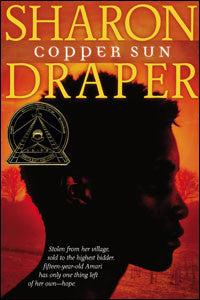 Copper Sun - EyeSeeMe African American Children's Bookstore
