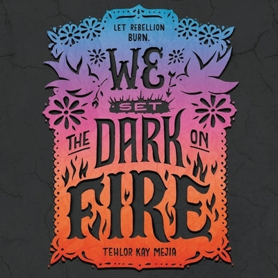 We Set the Dark on Fire by Mejia, Tehlor Kay