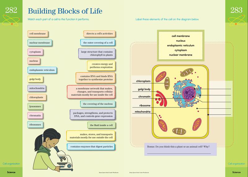 Brain Quest Workbook: 6th Grade