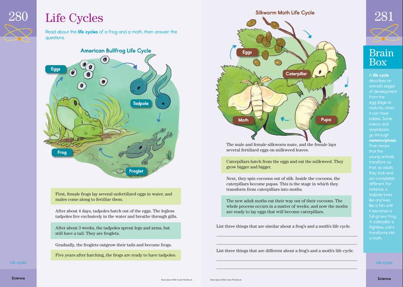 Brain Quest Workbook: 5th Grade